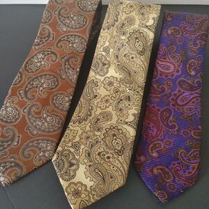 Men's Neckties Paisley Bundle